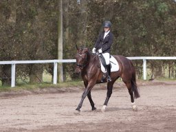 IMG_7930_web